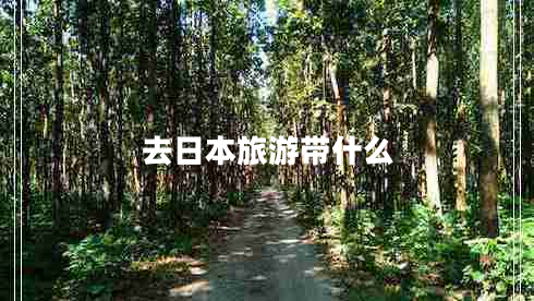 去日本旅游帶什么 去日本旅游帶什么