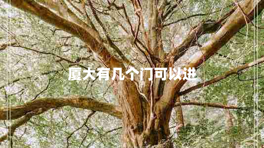 廈大有幾個(gè)門可以進(jìn)