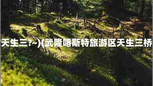 天生三?~)(武隆喀斯特旅游區(qū)天生三橋 天生三?~)(武隆喀斯特旅游區(qū)天生三橋