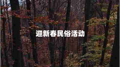 迎新春民俗活動(dòng)