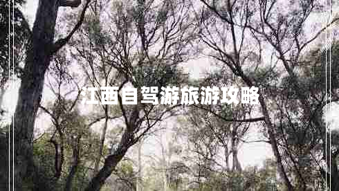 江西自駕游旅游攻略