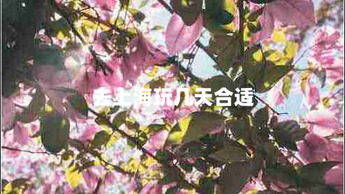 去上海玩幾天合適 去上海玩幾天合適