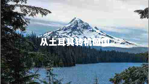 從土耳其轉(zhuǎn)機(jī)回國(guó) 從土耳其轉(zhuǎn)機(jī)回國(guó)