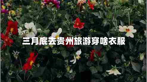 三月底去貴州旅游穿啥衣服