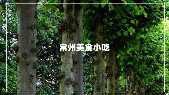 常州美食小吃 常州美食小吃