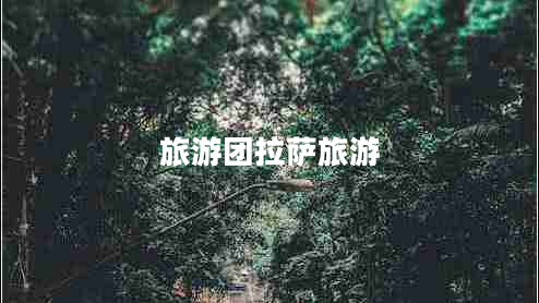 旅游團(tuán)拉薩旅游 旅游團(tuán)拉薩旅游