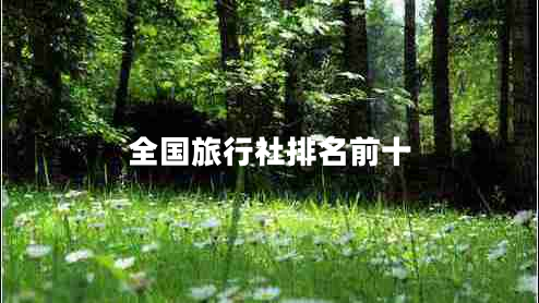 全國(guó)旅行社排名前十