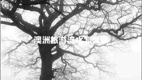 澳洲旅游流水怎么做 澳洲旅游流水怎么做