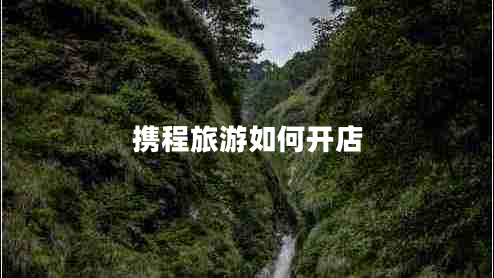 攜程旅游如何開店