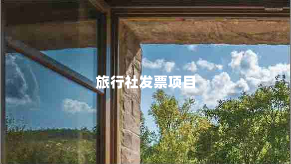 旅行社發(fā)票項目