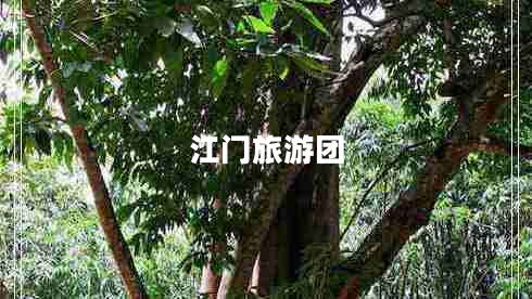 江門旅游團