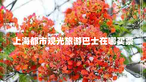 上海都市觀光旅游巴士在哪買票