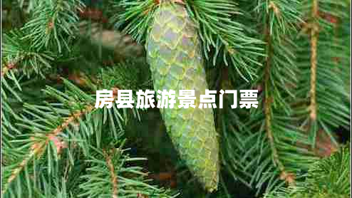 房縣旅游景點(diǎn)門票 房縣旅游景點(diǎn)門票