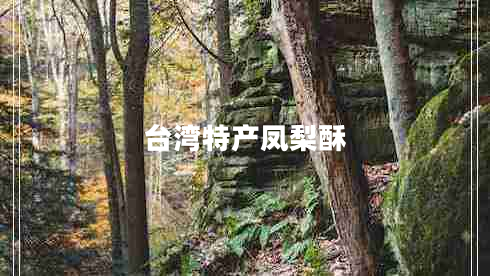 臺(tái)灣特產(chǎn)鳳梨酥