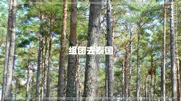 組團(tuán)去泰國 組團(tuán)去泰國