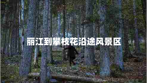 麗江到攀枝花沿途風(fēng)景區(qū)