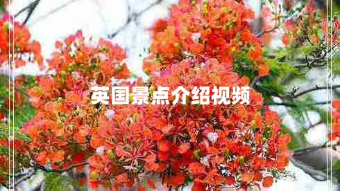 英國(guó)景點(diǎn)介紹視頻