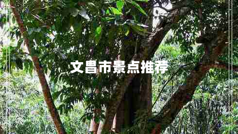 文昌市景點(diǎn)推薦 文昌市景點(diǎn)推薦