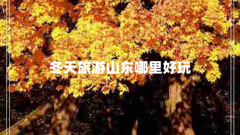 冬天旅游山東哪里好玩