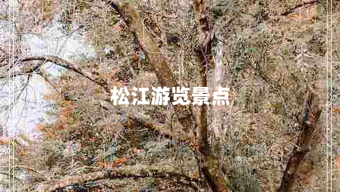 松江游覽景點(diǎn)