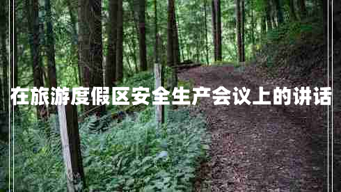 在旅游度假區(qū)安全生產(chǎn)會議上的講話