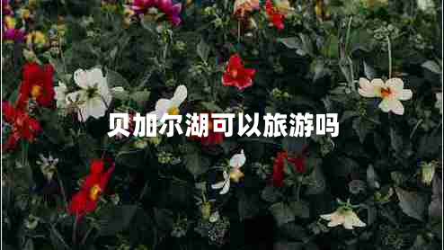 貝加爾湖可以旅游嗎