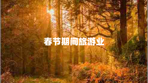 春節(jié)期間旅游業(yè)