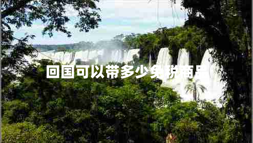 回國可以帶多少免稅商品