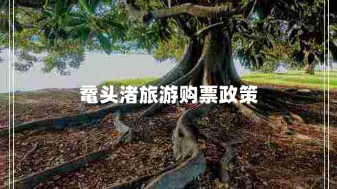 黿頭渚旅游購(gòu)票政策 黿頭渚旅游購(gòu)票政策