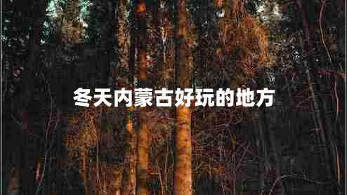 冬天內(nèi)蒙古好玩的地方