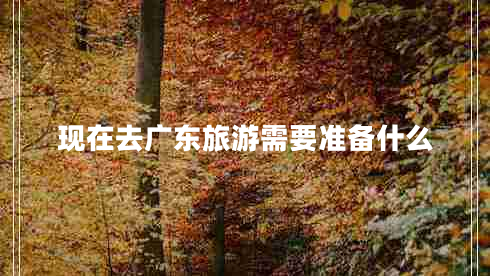 現(xiàn)在去廣東旅游需要準(zhǔn)備什么 現(xiàn)在去廣東旅游需要準(zhǔn)備什么