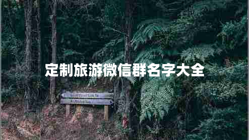 定制旅游微信群名字大全