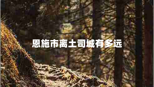 恩施市離土司城有多遠