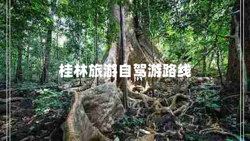 桂林旅游自駕游路線 桂林旅游自駕游路線