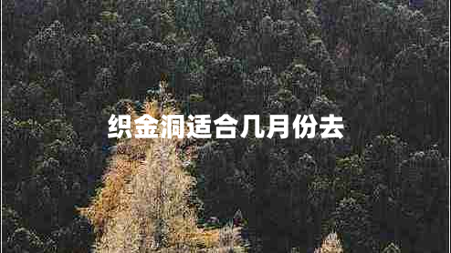 織金洞適合幾月份去