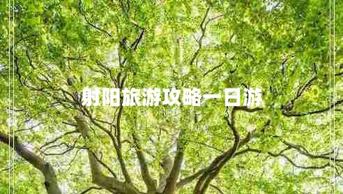 射陽(yáng)旅游攻略一日游