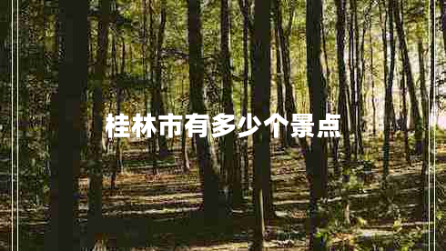 桂林市有多少個景點 桂林市有多少個景點