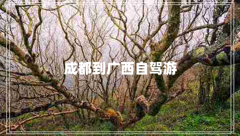 成都到廣西自駕游