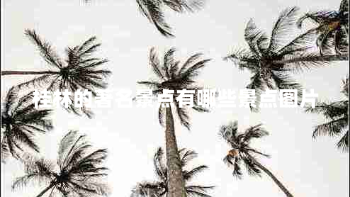 桂林的著名景點有哪些景點圖片