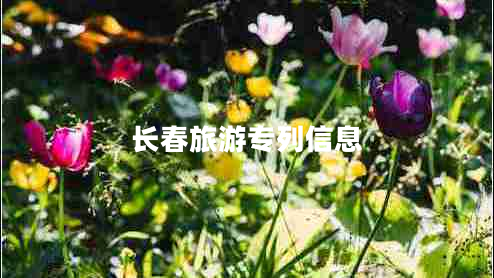 長春旅游專列信息