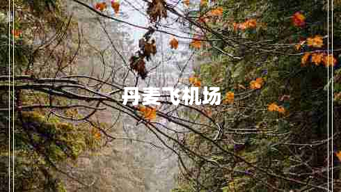 丹麥飛機(jī)場(chǎng) 丹麥飛機(jī)場(chǎng)