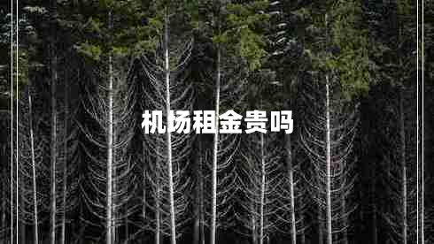機場租金貴嗎 機場租金貴嗎
