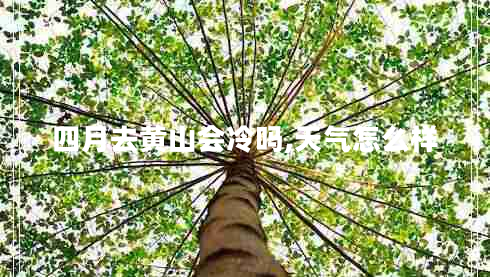 四月去黃山會(huì)冷嗎,天氣怎么樣