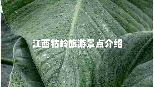 江西牯嶺旅游景點介紹