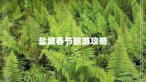 鹽城春節(jié)旅游攻略 鹽城春節(jié)旅游攻略