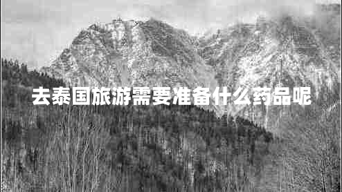 去泰國旅游需要準(zhǔn)備什么藥品呢