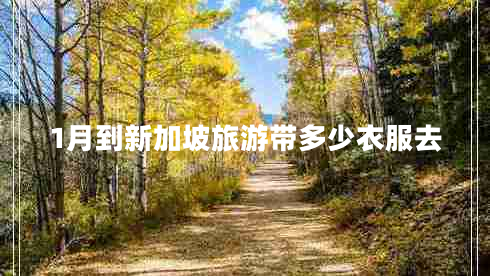 1月到新加坡旅游帶多少衣服去