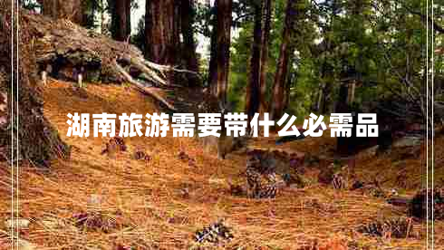 湖南旅游需要帶什么必需品