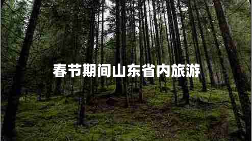 春節(jié)期間山東省內(nèi)旅游 春節(jié)期間山東省內(nèi)旅游