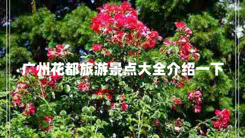 廣州花都旅游景點(diǎn)大全介紹一下 廣州花都旅游景點(diǎn)大全介紹一下